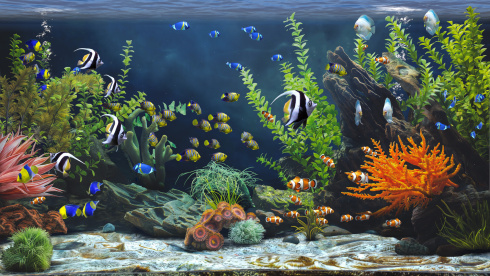 Zen Aquarium - скриншот 3