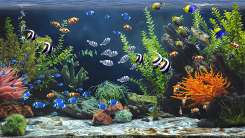 Zen Aquarium - скриншот 6