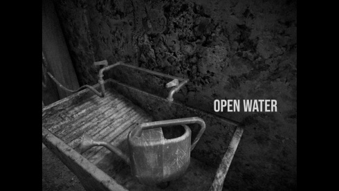 Horses - скриншот 4