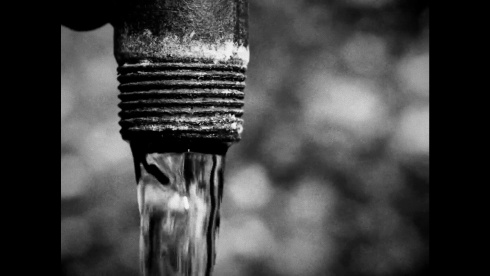 Horses - скриншот 6