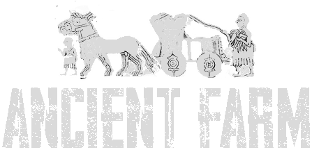 Ancient Farm - логотип игры