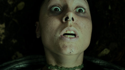 Heart of the Forest - скриншот 3