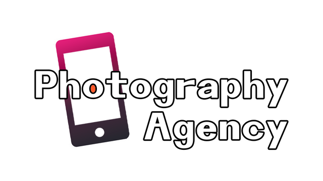 Photography Agency - логотип игры
