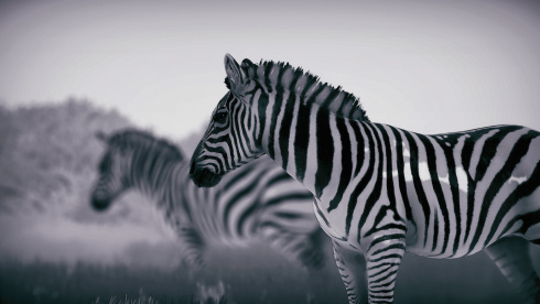 Seclusa - скриншот 2