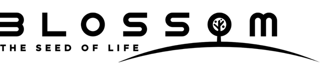 Blossom: The Seed of Life - логотип игры