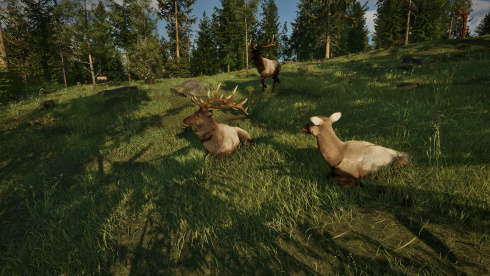 Ranger's Path: National Park Simulator - скриншот 6