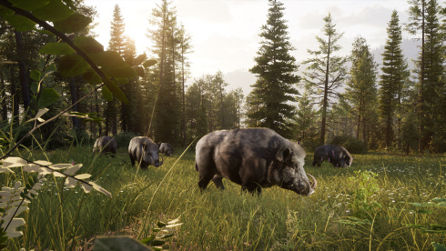 Way of the Hunter 2 - скриншот 1