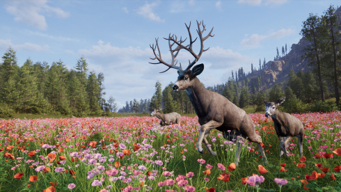 Way of the Hunter 2 - скриншот 3