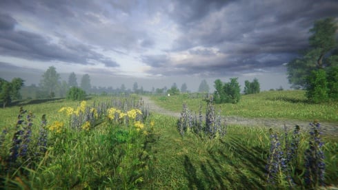 Симулятор одиночества в русской деревне - скриншот 5