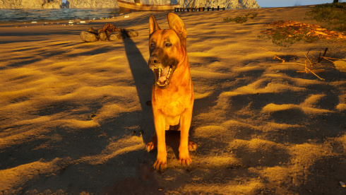 Restore Your Island - скриншот 6