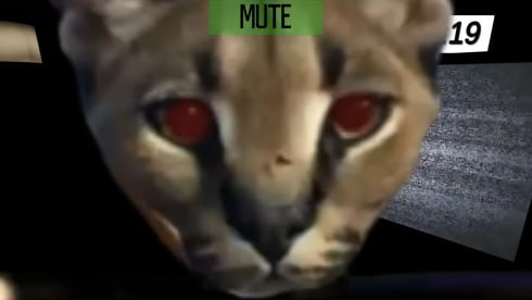 Five Nights At Floppa - скриншот 3