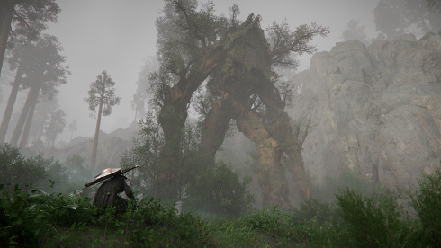 Crimson Desert - скриншот 3