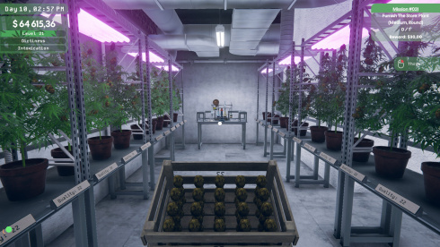 Weed Supermarket Simulator - скриншот 3