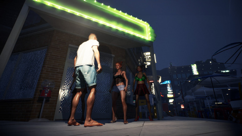 Weed Shop 4: Highland - скриншот 5