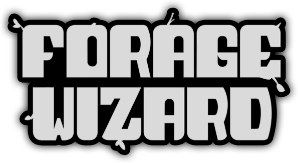 Forage Wizard - логотип игры