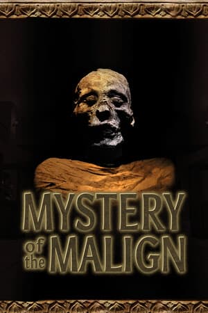 Mystery of the Malign - скачать торрент бесплатно на ПК
