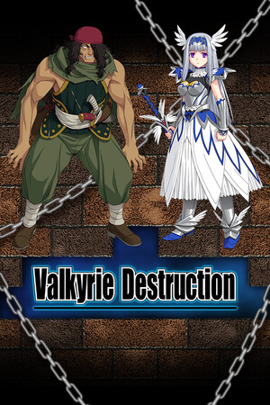 Valkyrie Destruction - скачать торрент бесплатно на ПК