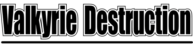 Valkyrie Destruction - логотип игры