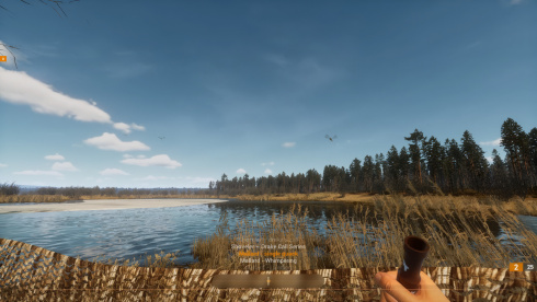 BULT: Hunting simulator - скриншот 4