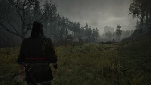 The Blood of Dawnwalker - скриншот 6