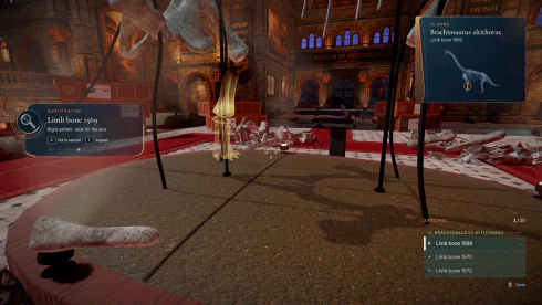 DinoBones: Tidy Up the Museum - скриншот 4