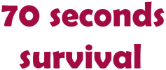 70 Seconds Survival logo
