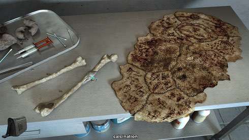 Alpha Polaris : A Horror Adventure Game - скриншот 6