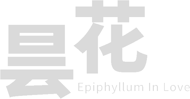 Epiphyllum in Love logo