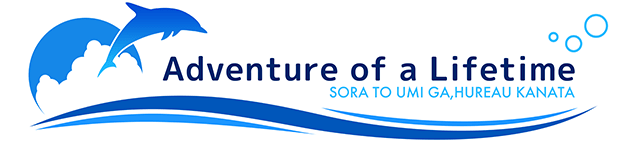 Adventure of a Lifetime logo