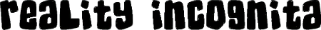 Reality Incognita logo